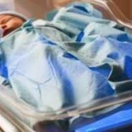 Πτώση του αριθμού των παιδιών που απέκτησαν οι γενεές που γεννήθηκαν στις αρχές του 1950 και του 1980 στις ευρωπαϊκές χώρες